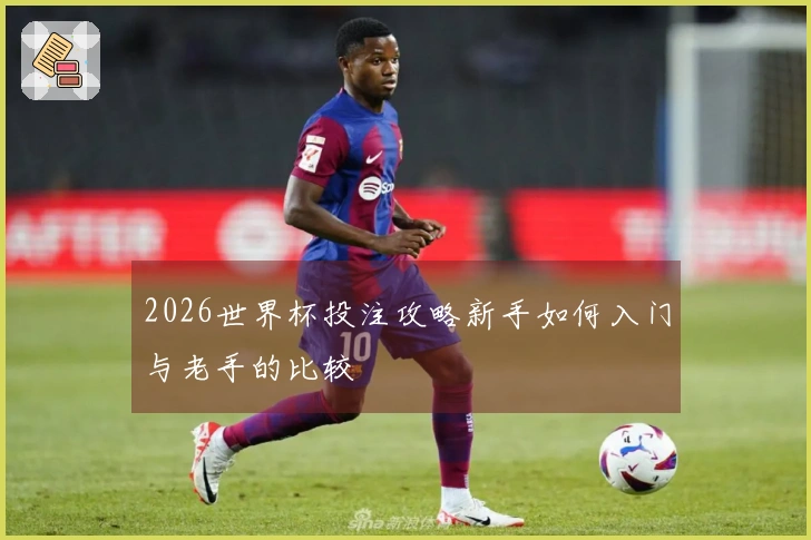 2026世界杯投注攻略新手如何入门与老手的比较
