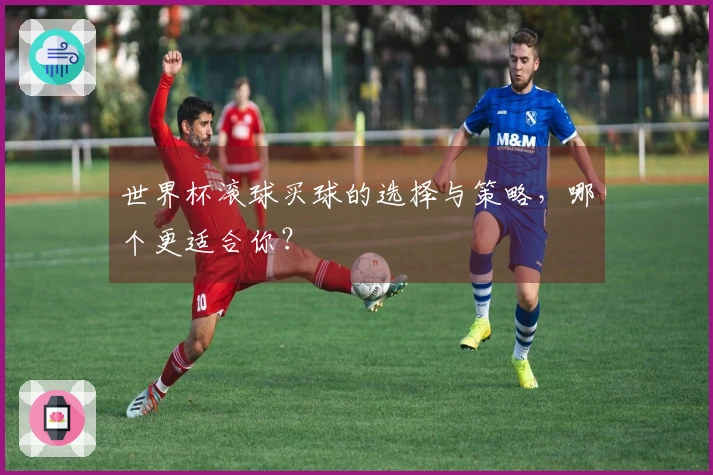 世界杯滚球买球的选择与策略，哪个更适合你？