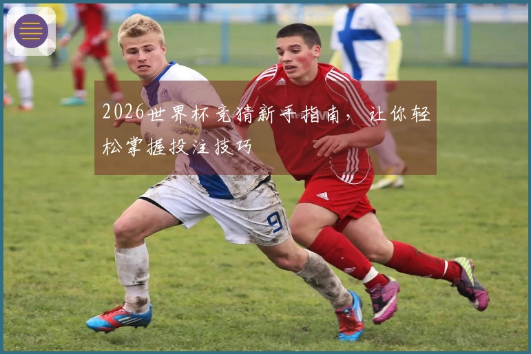 2026世界杯竞猜新手指南，让你轻松掌握投注技巧