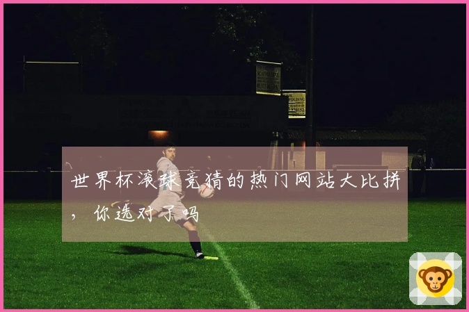 世界杯滚球竞猜的热门网站大比拼，你选对了吗