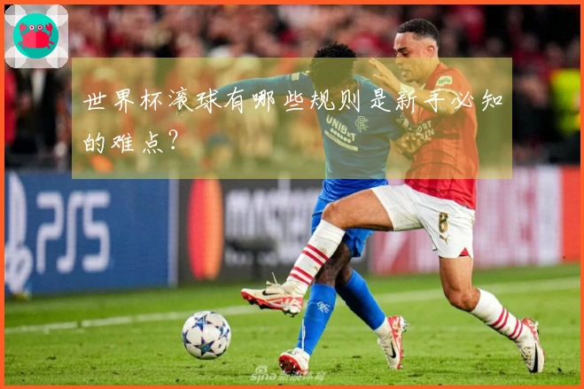 世界杯滚球有哪些规则是新手必知的难点？
