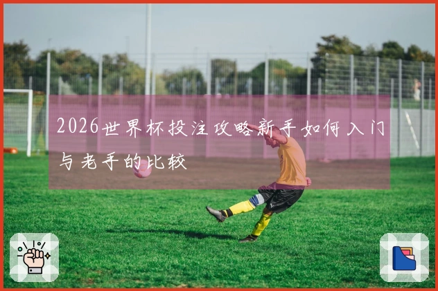 2026世界杯投注攻略新手如何入门与老手的比较