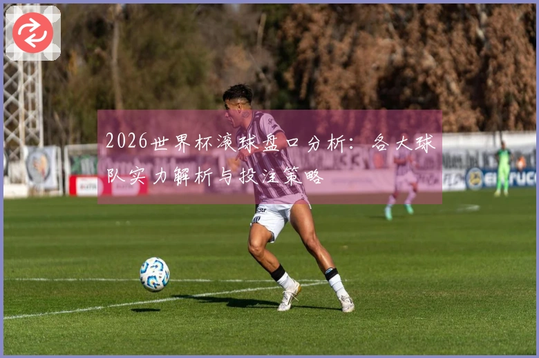 2026世界杯滚球盘口分析：各大球队实力解析与投注策略
