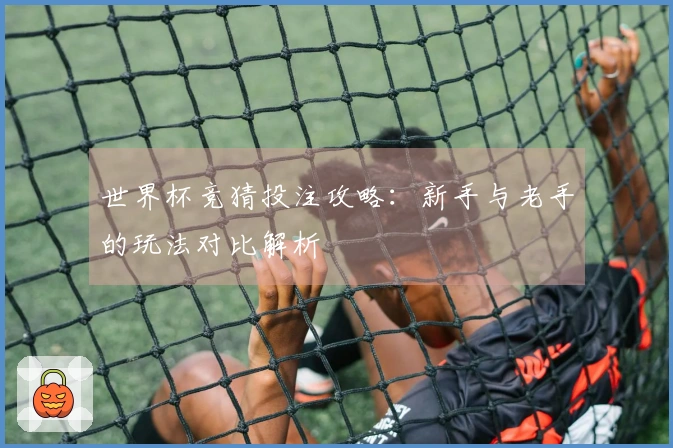 世界杯竞猜投注攻略：新手与老手的玩法对比解析