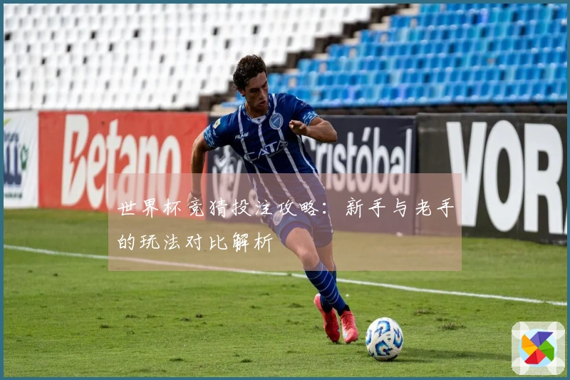 世界杯竞猜投注攻略：新手与老手的玩法对比解析